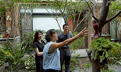 陸府植物有問題 找園藝關係師